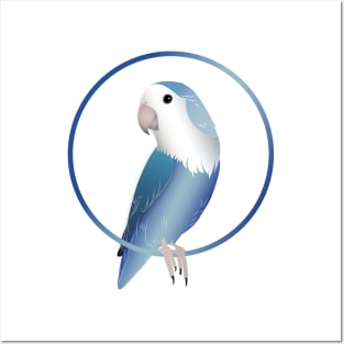 Blue Rosy-faced Lovebird Posters and Art